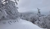 Percorso Racchette da neve Lans-en-Vercors - 5,8km R Lans-en-V Vertige des Cimes AR - Photo 2
