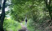 Tocht Stappen Rendeux - Cheoux  - Photo 4