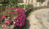 Randonnée Marche Ax-les-Thermes - La Porteille d’Orgeix - Photo 3