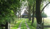 Trail On foot Lochem - Rondje Dortherbeek - Photo 6