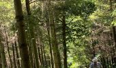 Trail Walking Houffalize - Les deux Ourthes au départ de Filly - Photo 11