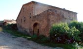 Percorso A piedi Sant Joan de Vilatorrada - Rutes d'aigua i secà 2: Obaga de Collbaix i Riera de Fonollosa - Photo 2