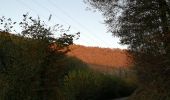 Excursión Senderismo La Roche-en-Ardenne - La roche dans tous les sens - Photo 1