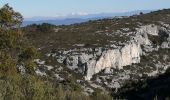 Trail Walking Roquevaire - le Garlaban par le grand vallon - Photo 10