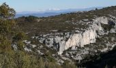 Percorso Marcia Roquevaire - le Garlaban par le grand vallon - Photo 10