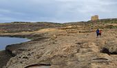 Tour Wandern Ta' Kerċem - MALTE 2024 / 02 : CLIFFS WEST GOZO - Photo 20