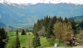 Randonnée A pied Grindelwald - First - Grosse Scheidegg (Höhenweg 2400) - Photo 3