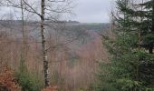Tour Wandern La Roche-en-Ardenne - rando warempage 10/12/2020 - Photo 12