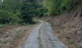 Randonnée Marche nordique Orlu - Orlu, col de l'Osque, Porteille d'Orgeix, Orgeix - Photo 1