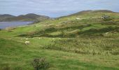 Randonnée Marche West Cork - Dursey Sound - Allihies beach - Photo 12