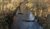 Tour Zu Fuß Hirschhorn - Rundwanderweg Rothenberg 5: Odenwald-Neckar-Runde - Photo 6