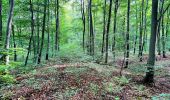 Trail Walking Orrouy - clone 41_2952279 - Photo 6