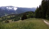 Tour Wandern Saint-Nizier-du-Moucherotte - Le bois de la Plagne- St Nizier du Moucherotte - Photo 4