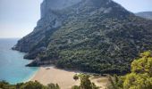 Tour Wandern Baunei - Cala Sisine à Cala di Luna 2.10.23 - Photo 10