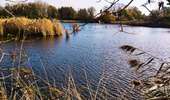 Trail Walking Geer - La promenade du Geer  - Photo 3