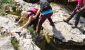 Percorso Marcia Lussas - canyon de la Louyre - Photo 6