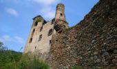 Trail Walking Molompize - Cantal - Molompize - Aurouze et Suc de Védrines - 17.7km 770m 7h05 - 2019 07 02 - Photo 3