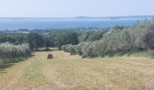 Tocht Stappen Acquapendente - CR_Francigena_DK_47_Acquapendente_Bolsena_20230530 - Photo 11