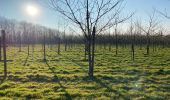 Randonnée Marche Gerpinnes - Mars le printemps s’installe  - Photo 1