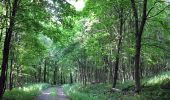 Tour Zu Fuß Römhild - Wanderroute I im Gleichberggebiet - Photo 6