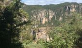 Excursión Senderismo Veyreau - Corniche du Causse noir (Le point sublime)  - Photo 11