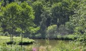 Randonnée Marche Chiny - Vallée de l’Eau - Photo 20