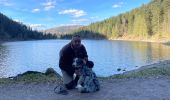 Trail Walking La Bresse - Tour du Lac aux Corbeaux  - Photo 1