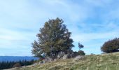 Randonnée Marche Bourbach-le-Haut - col du schirm - Photo 1