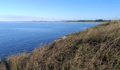 Excursión Senderismo Saint-Gildas-de-Rhuys - pointe du grand Mont - Photo 14