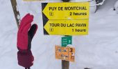 Tour Nordic Walking Besse-et-Saint-Anastaise - lac pavin 02/01/2021 - Photo 2