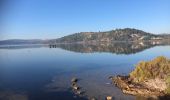 Tocht Stappen Peyriac-de-Mer - 20211024 boucle Peyriac-de-mer, Bages - Photo 3