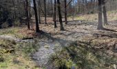 Trail Horseback riding Florenville - Les Epioux  - Photo 13