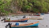 Percorso Marcia Sainte-Marie - Anse Azerot vers pointe Lahoussaye  - Photo 11