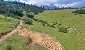 Tocht Stappen Marèo - Enneberg - Marebbe - DOLOMITES 03 - Refugio Sennes 2126 m - Photo 6