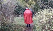 Tour Wandern Rouen - Darnétal le long du Robec vers la petite Bouverie et retour - Photo 1