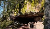 Excursión Senderismo Le Syndicat - Les roches de Mortevieille - Photo 10