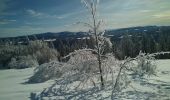 Excursión Raquetas de nieve Pontarlier - Pontarlier Gounfay Grand Taureau 2021-01-19 CAF - Photo 10