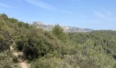 Excursión Senderismo Cheval-Blanc - PF-Cheval-Blanc - La Roquette - Le Trou du Rat - MDu - Photo 16