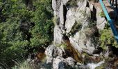 Randonnée Marche Val-d'Aigoual - Cascade d'Orgon depuis Cap de Côte - vue Mont Aigoual - Photo 12