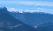 Trail Walking Sisteron - SISTERON . LE BOIS DE LA BUCHE . ROCHER DU TURC . CRETE DU MOLLARD . BATISTON PAUL ARENE . O  L - Photo 1