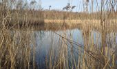 Tocht Stappen Boom - Boom - Kleiputten - Photo 5