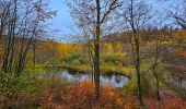 Trail Walking Saint-Hubert - Balade à Mirwart - Photo 8