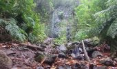 Trail Walking São Jorge - Levada del Rei - Photo 4