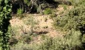 Excursión Senderismo Cuges-les-Pins - Cuges le tour des jas  - Photo 20