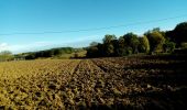 Trail Walking Saint-Pierre-de-Lages - saint pierre 2_11_21 - Photo 1