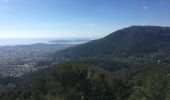 Tour Wandern La Valette-du-Var - Le petit Coudon - Photo 11