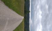 Tour Wandern Villers-le-Lac - Le Pisoux - Photo 4