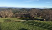 Tocht Stappen Sainte-Croix-de-Caderle - Caderle - Photo 2