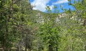 Trail Walking Mostuéjouls - 21 06 07 Liaucous / Eglazine A / R  - Photo 5