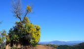 Randonnée Marche Tanneron - Tanneron par Les Farinas - Photo 6